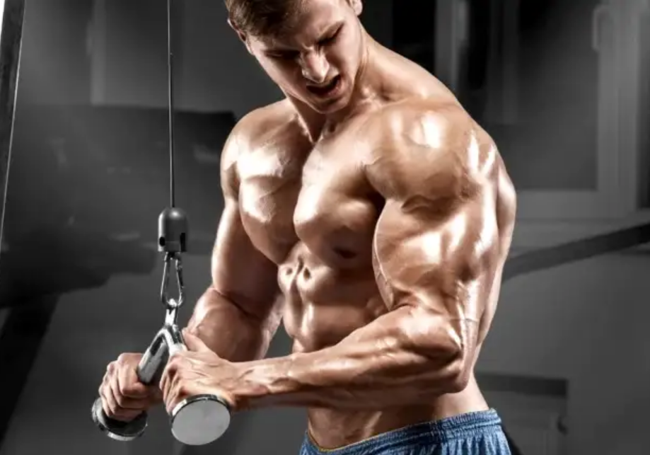 15 Best Triceps Cable Exercises For Sculpting Bigger Arms